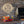 Backyard Barbeque Grill Family Name Sign