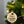 Baby's 1st Christmas Dated Metal Christmas/Holiday Ornament-Personalized