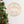 Christ the Savior is Born Christmas Metal Sign
