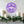Christ the Savior is Born Christmas Metal Sign