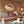 duck hunting scene metal sign