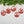 Assorted Family Farm, Cow, Pig, Horse, and Chicken Metal Christmas/Holiday Ornaments