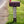 Mailbox Post Address Number Plaque-Wedding - Housewarming Gift