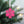 Emergency Responder Ornament Collection - EMT/Paramedic Decoration - Hero Tribute - Christmas Tree Decor - Charming Metal Holiday Trinkets