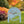 Hello Pumpkin Metal Yard Stake for Autumn Decor - Thanksgiving Lawn Ornament - Cute Fall Garden Decorations - Charming Outdoor Seasonal Sign