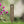 Cancer Ribbon Address Metal Yard Stake - House Numbers-Business Address Number Yard Stake-House Number Yard Stake