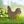 Chicken Garden Metal Yard Stakes-Chicken Lawn Ornaments