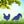 Chicken Garden Metal Yard Stakes-Chicken Lawn Ornaments
