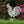Chicken Garden Metal Yard Stakes-Chicken Lawn Ornaments
