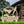 Custom Duck Hunting Metal Lawn Sign - Personalized  Lawn Sign-Duck-Mallard Hunting Yard Signs -Stakes-Duck Hunting-Club-Organization -Business Sign