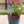 Metal Hoppy Easter Yard Stake - Easter Decor-Outdoor Easter-April Yard Decor