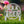 Welcome Peeps Metal Yard Stake - Easter Decor-Easter Outdoor Yard Decor
