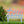 Personalized Flamingo Address Metal Yard Stake - House Numbers-Beach House-Beach Rental Address Decor