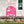 Flamingo Yard Stake with Funny Quote - Unique Metal Garden Accent - Pink Flamingo Home Decor - Charming Outdoor Lawn Art - Tropical Flowers