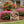 Charming Welcome Flamingo Metal Garden Stake for Outdoor Décor - Welcoming Tropical Yard Sign - Laser Cut Lawn Stakes - Housewarming Gift