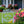 Charming Welcome Flamingo Metal Garden Stake for Outdoor Décor - Welcoming Tropical Yard Sign - Laser Cut Lawn Stakes - Housewarming Gift