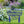 Flower and Butterfly Welcome Yard Stake-Welcome Yard Sign-Mother's Day Gift