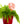 Butterfly Flower Garden Decorative Yard or Lawn Decor-Yard Stake, Mother's Day Gift