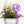 Butterfly Flower Garden Decorative Yard or Lawn Decor-Yard Stake, Mother's Day Gift
