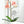 Bless My Blooms Metal Yard Stake - Garden Decor-Memorial Gift-Mother's Day Gift