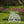 Free Weeds You Pick Metal Yard Stake - Garden Decor-Flowerbed Yard Ornaments Decor