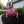 Garden Welcome Metal Yard Stake - Gardener's Gift-Garden Yard Art-Mother's Day Gift-Gift for Mom-Gift for Grandma-Grandma's Garden