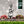 Gnome Metal Yard -Garden Stakes-Outdoor Lawn Gnome Stakes-Gnome Lovers-Garden Gnome Yard Ornaments-Outdoor Gnome Yard Stakes