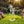 Gnome Metal Yard -Garden Stakes-Outdoor Lawn Gnome Stakes-Gnome Lovers-Garden Gnome Yard Ornaments-Outdoor Gnome Yard Stakes
