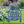 Greenhouse Design with flowers Metal Lawn and Yard Stake - Mother's Day Gift-Gift for Gardener