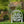 Greenhouse Design Metal Yard Stake 
