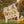 The Witch Is In Metal Yard Stake - Halloween Decor