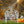 Happy Halloween Metal Decor