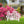 Welcoming Hello Metal Outdoor Yard Stake - Charming Front Lawn Decor - Laser Cut Garden Decoration - Unique Welcome Sign - Housewarming Gift