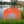 Lake Lot Sign-Family Lake Lot Sign -Lake Lot Number -Lake House Address Lot Number
