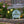 No Soliciting Sign for Yard - Metal Stake for Home Security - Outdoor Entryway Welcome Sign - Charming Lawn Art - Unique Housewarming Gift