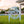 Custom Palm Tree Metal Yard Stake – Personalized Garden Decor - Unique Address Lawn Signs - Outdoor Entryway Signage - Realtor Closing Gift