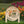 Spring Outdoor Yard Decor for Lawn or Flowerbed- Easter Decorations
