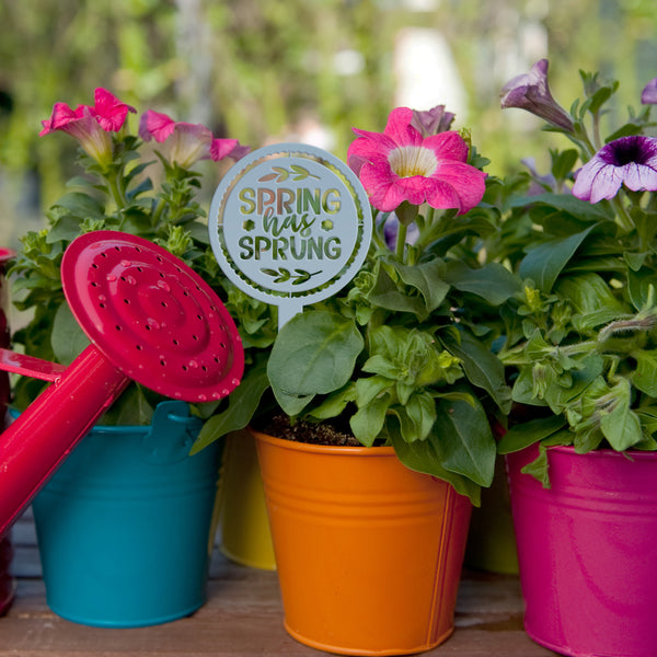 Metal Spring Has Sprung Yard Stake - Outdoor Spring Decor-Spring Metal Yard Decor and Ornaments