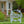 Outdoor Irish Metal Yard Stake - St. Patrick's Day Decor - Irish Decor-St. Patty's Decor Ideas