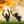 Assorted Halloween Zombie Metal Yard Stakes