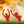 Assorted Halloween Zombie Metal Yard Stakes