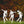 Assorted Halloween Zombie Metal Yard Stakes