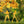 Assorted Halloween Zombie Metal Yard Stakes