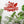 Garden Tool Sign and Decoration